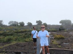 Vis et Lutz : Nos premiers visiteurs !